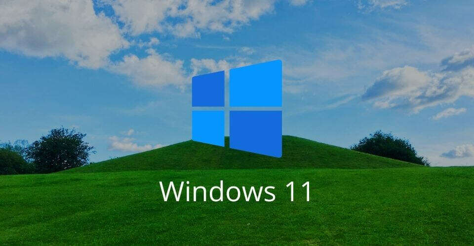 actualizar a windows 11